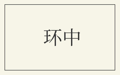 环中
