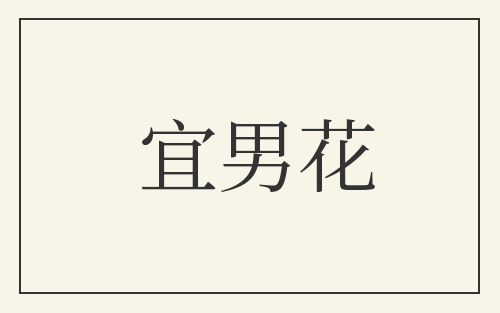 宜男花