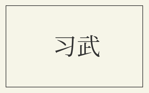 习武