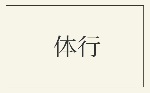 体行