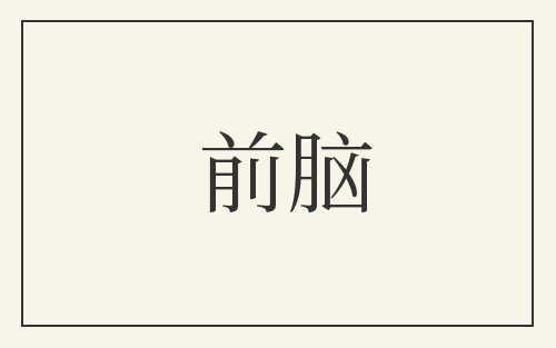 前脑