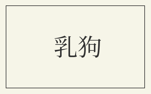 乳狗