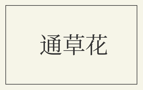通草花