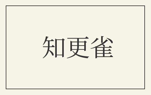 知更雀