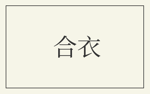 合衣