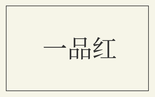 一品红