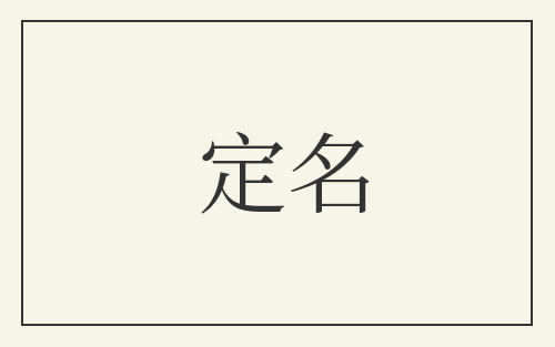 定名