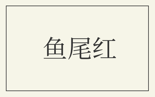 鱼尾红