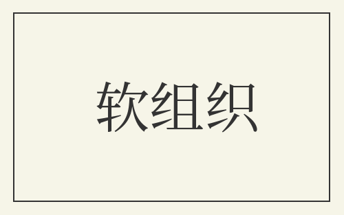 软组织