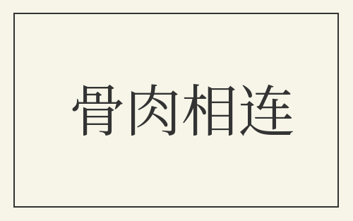 骨肉相连