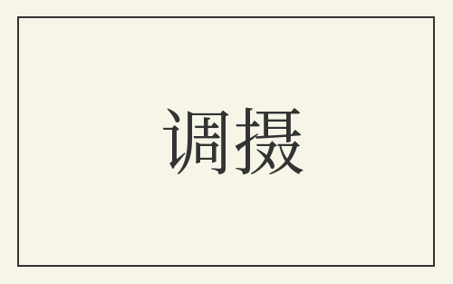 调摄