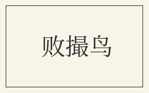 败撮鸟