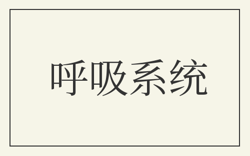 呼吸系统