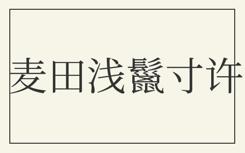 麦田浅鬣寸许