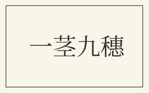 一茎九穗