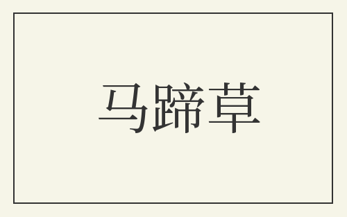 马蹄草