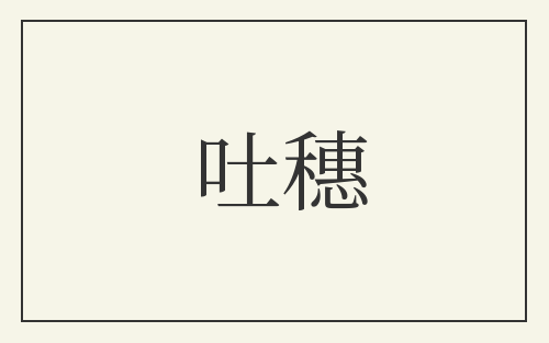 吐穗