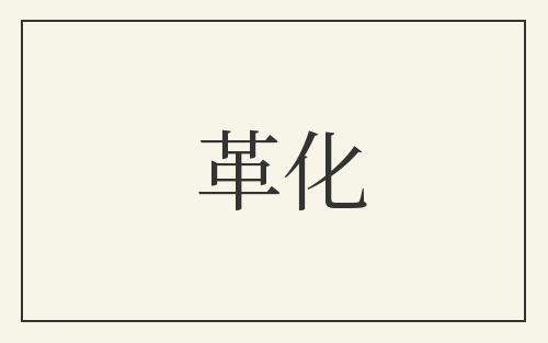 革化