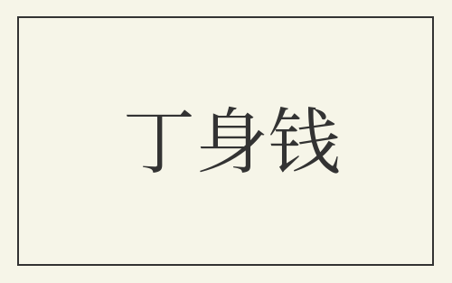 丁身钱