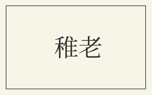 稚老