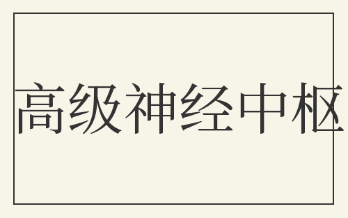 高级神经中枢