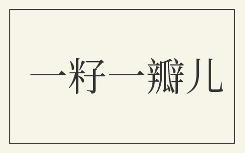 一籽一瓣儿