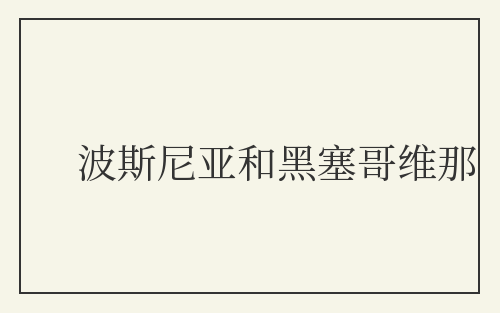 波斯尼亚和黑塞哥维那