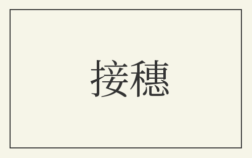 接穗