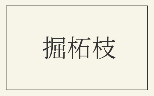 掘柘枝