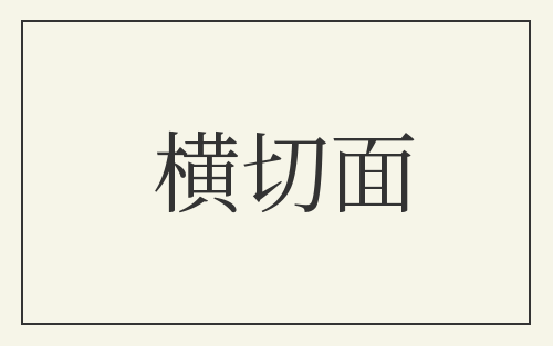 横切面