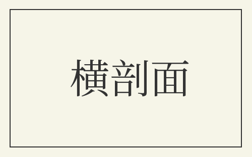 横剖面