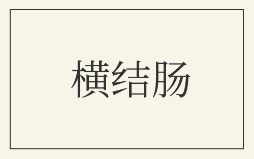 横结肠