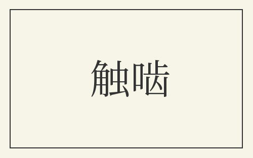 触啮