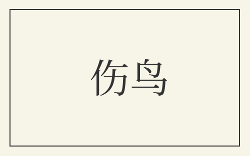 伤鸟