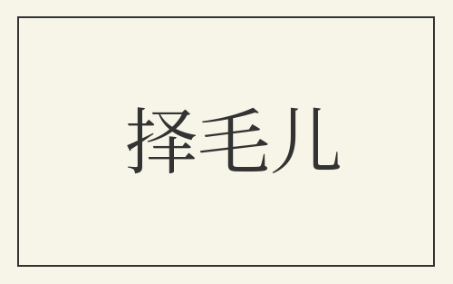 择毛儿