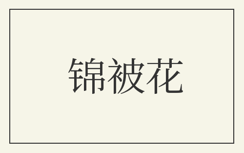 锦被花