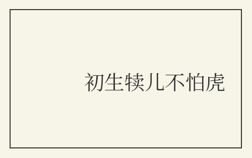 初生犊儿不怕虎