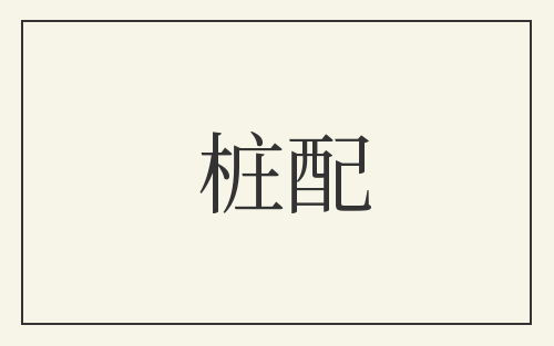 桩配