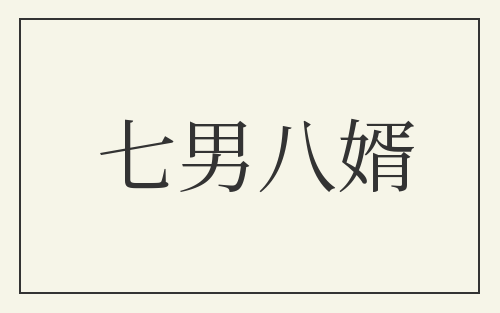 七男八婿