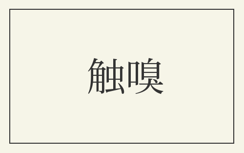 触嗅