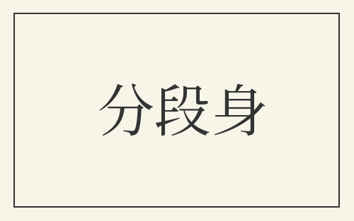 分段身