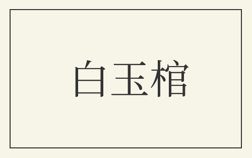白玉棺