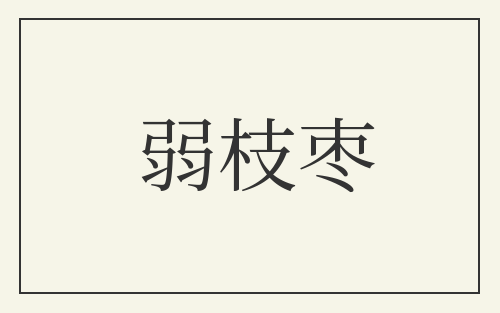 弱枝枣
