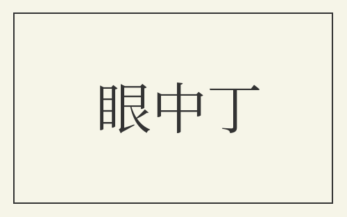眼中丁
