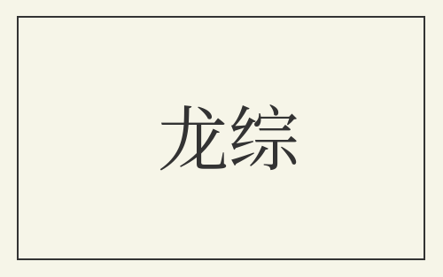 龙综