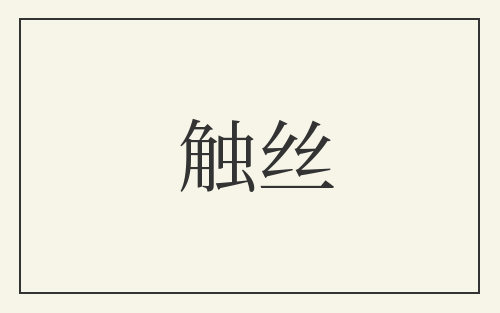 触丝