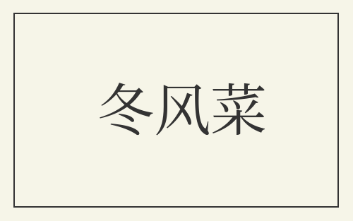 冬风菜
