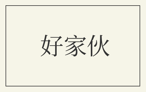 好家伙