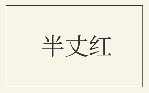 半丈红