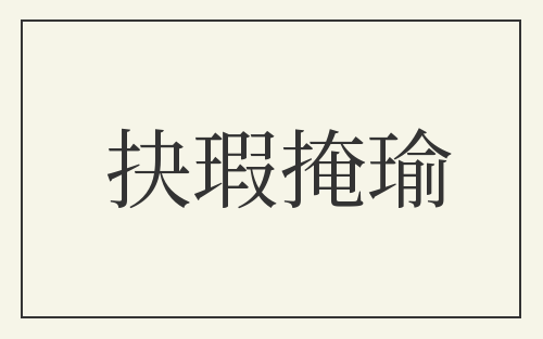 抉瑕掩瑜